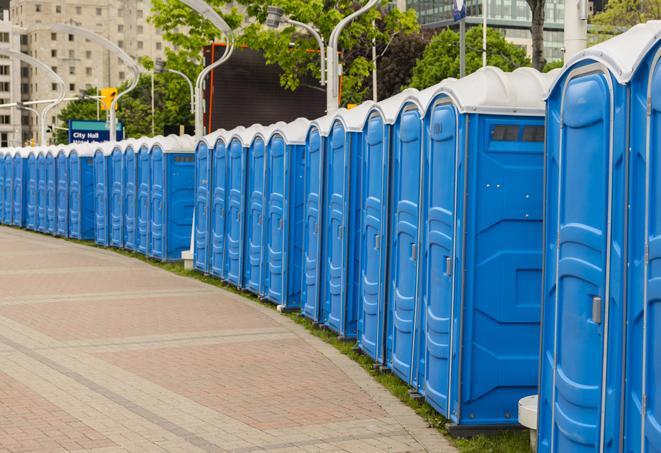 a row of portable restrooms ready for eventgoers in East Brunswick